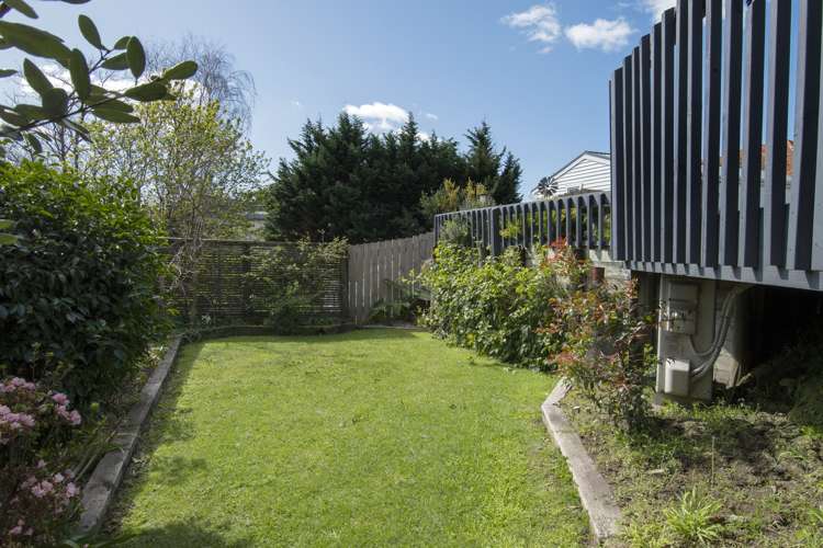 7b Belvedere Street Te Puke_12