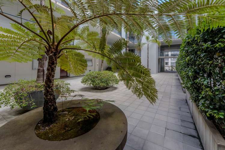 208/10 Fox Street Parnell_22