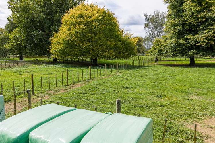 59 Fuchsia Lane Tamahere_16