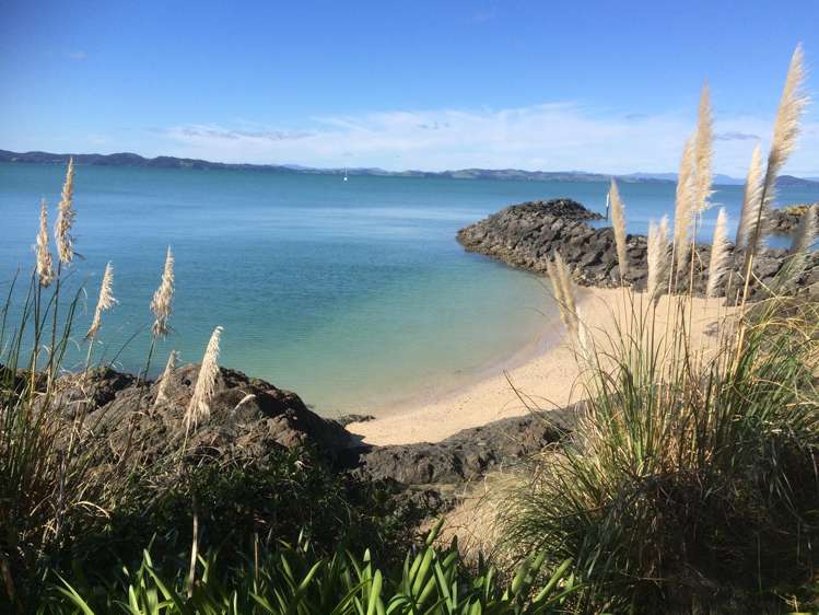 45A Te Pene Road_4