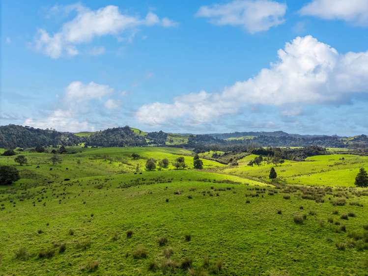 325b Haruru Road Wainui_4