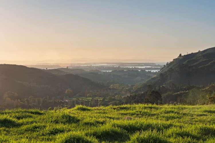 415 Rocky Cutting Road Kaimai_23