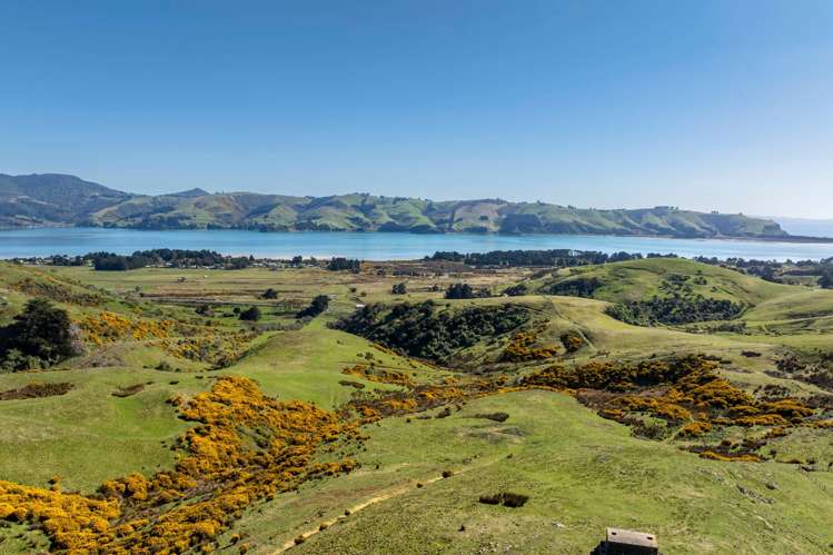 452 Harington Point Rd Lower Portobello_5