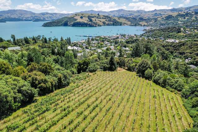 35 Lighthouse Road Akaroa_3