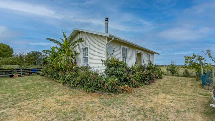 10 Ryall Road Paeroa_0