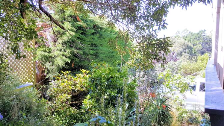 40 Marine Drive Diamond Harbour_20