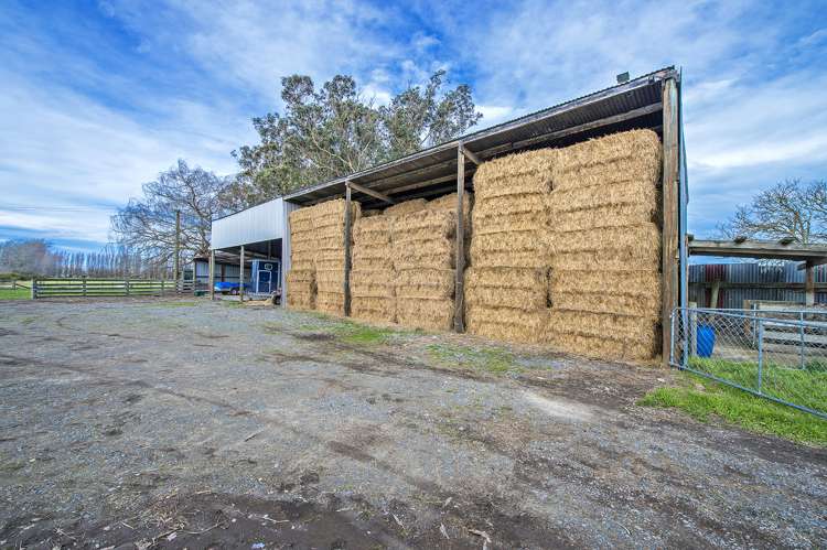 127 Selwyn Lake Road Leeston_19