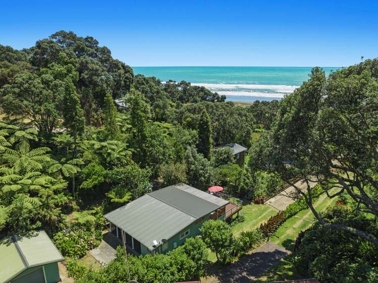 233 Ohiwa Beach Road_0