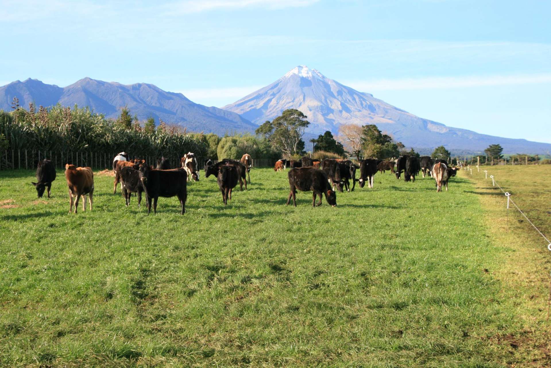 At/192-194 Dover Road Okato_0