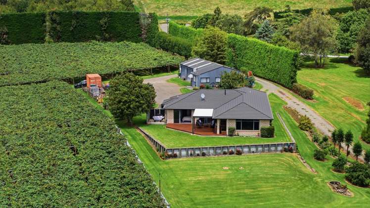 840 No 3 Road Te Puke_29