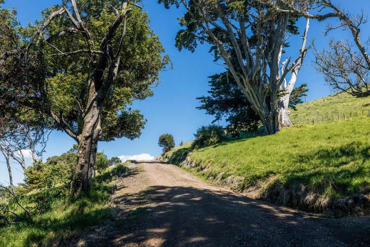 630 Gordons Road Waiheke Island_15