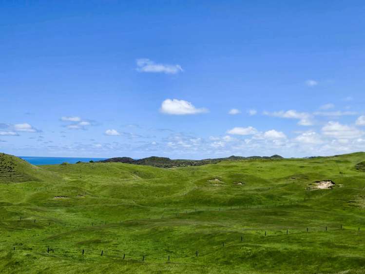 1090 Te Maire Road Dargaville_15