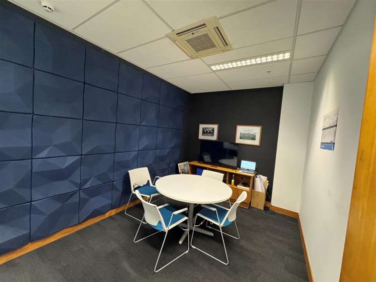 9 Francis Place Te Aro_5