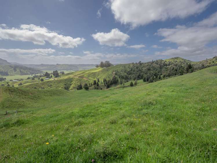 223 Coutts Road Marokopa_12