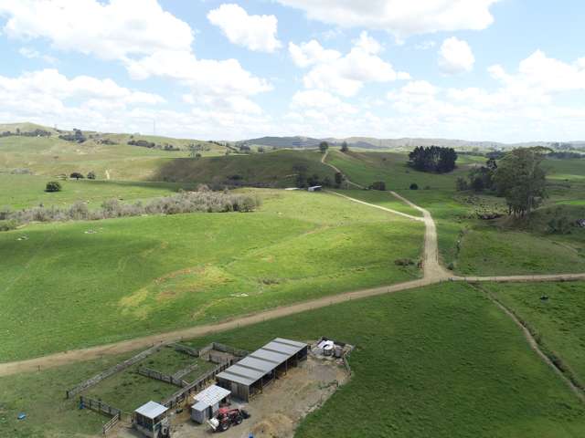 70c Manion Lane Morrinsville_1