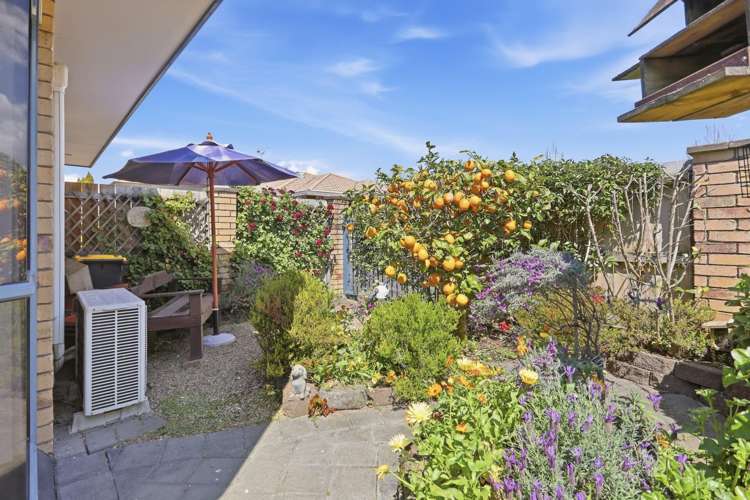 89 Eighth Avenue Tauranga South_18