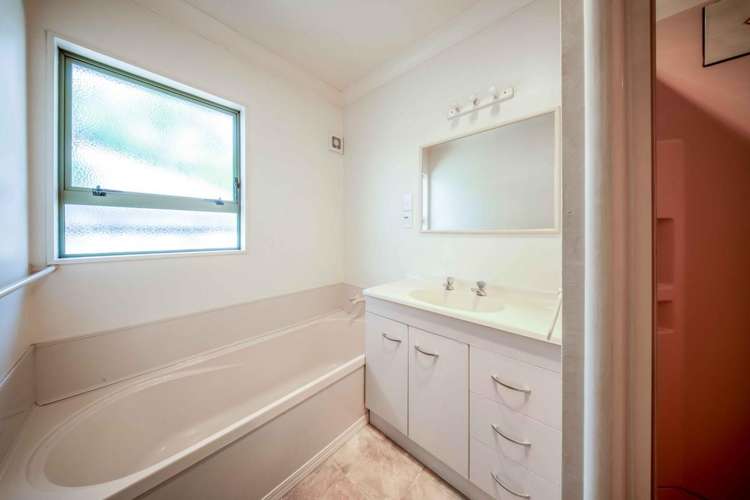 723C Cameron Road Tauranga South_12