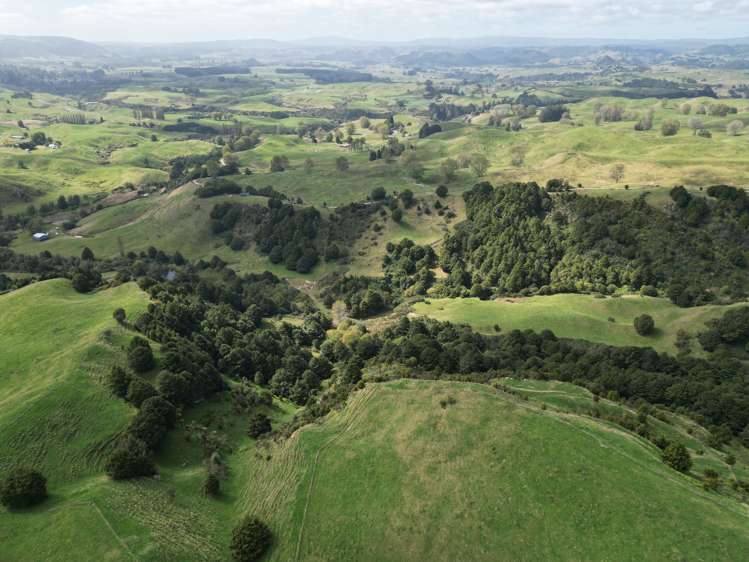 Paraketu Road Waimiha_8