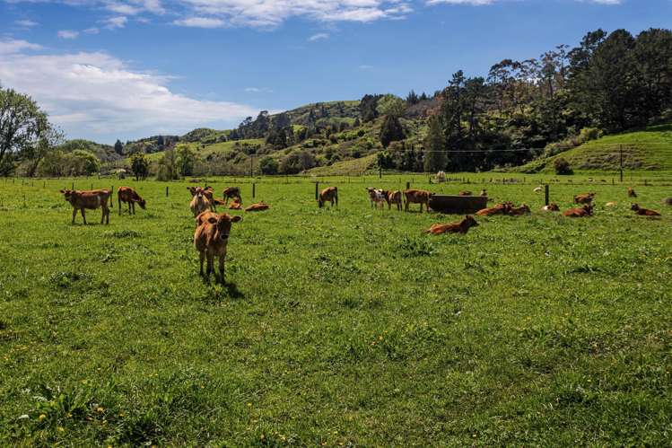 2338 State Highway 2 Opotiki_19