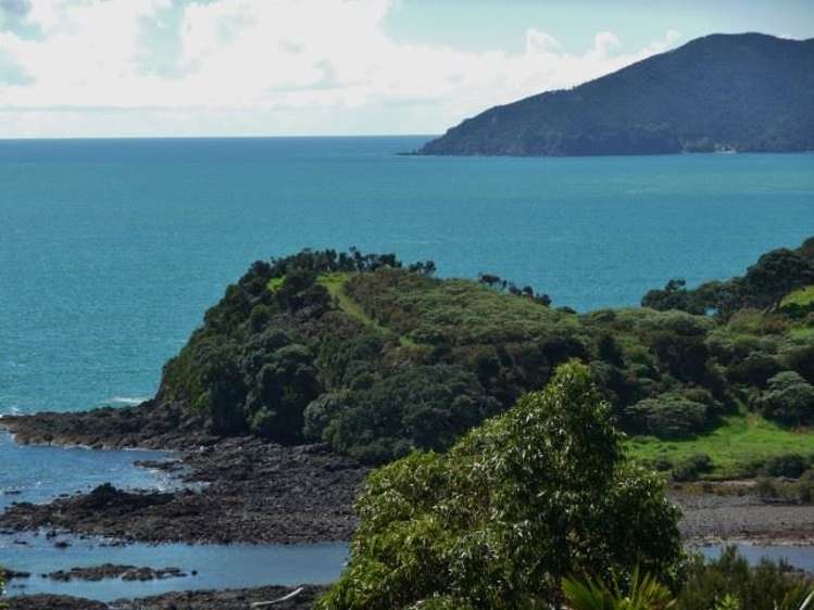 260 State Highway 10 Cable Bay_38