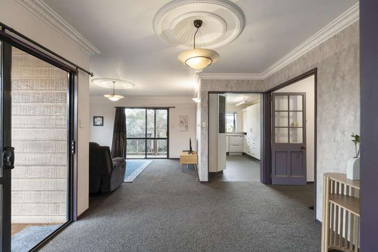 20 Springdale Grove Fitzherbert_7