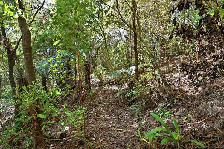11A Saddleback Rise Murrays Bay_46