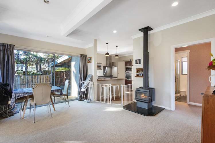 20 Mcghie Road Kihikihi_8