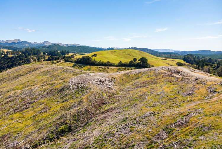Lot 2 Kaiwhata Road Te Wharau_5