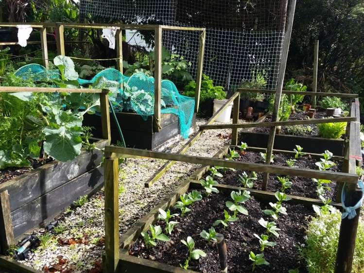 28 Bertram Street Warkworth_8