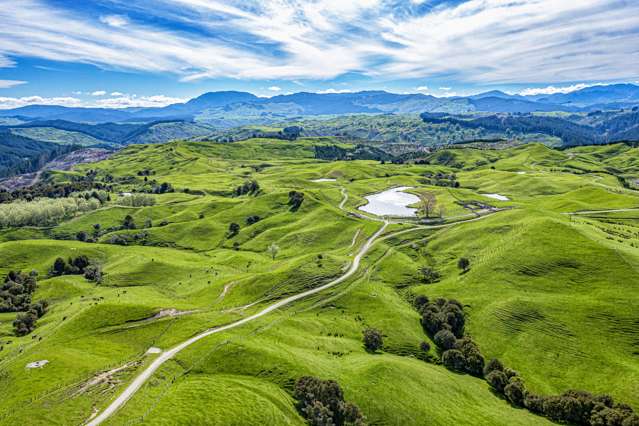 281 Matanui Road (Matanui Station) Tauwhareparae_3