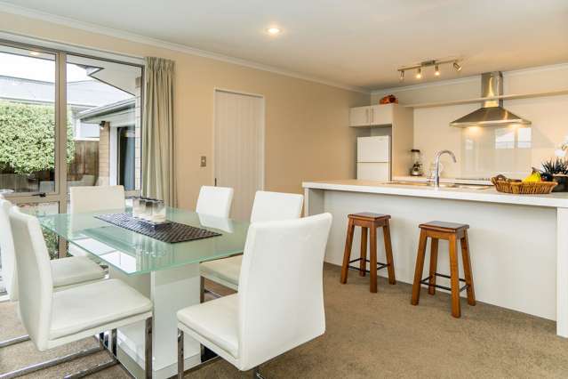 21a Sugden Street Spreydon_4