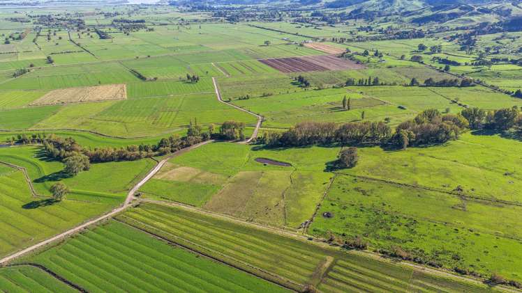 134 and 142 Station Road Puriri_13