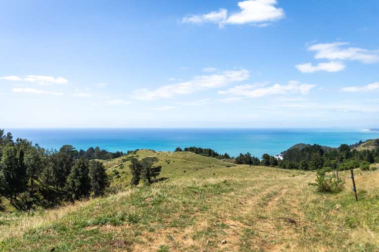 31 Ngatitangata Road Waihi_9