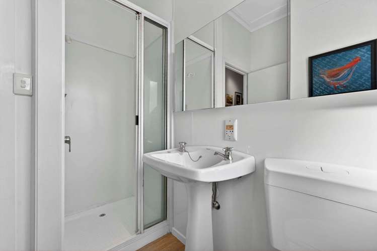 60 Maskell Street St Heliers_12