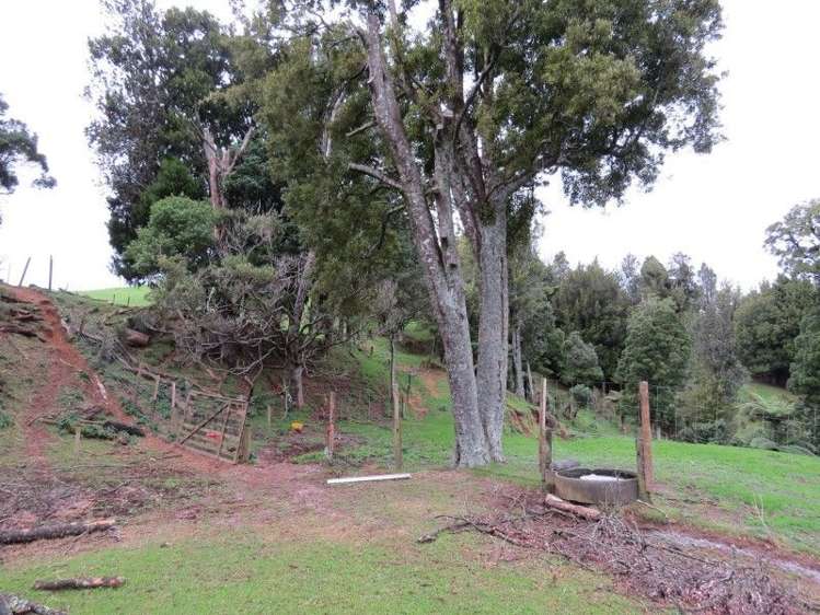 747a No 4 Road Te Puke_8