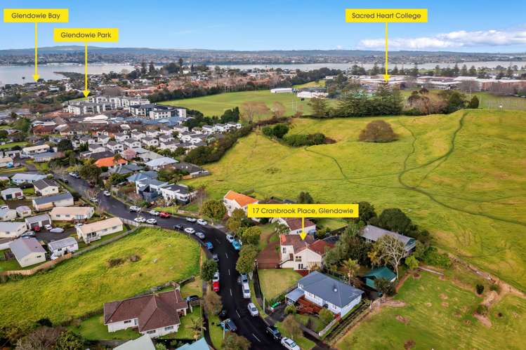 17 Cranbrook Place Glendowie_1