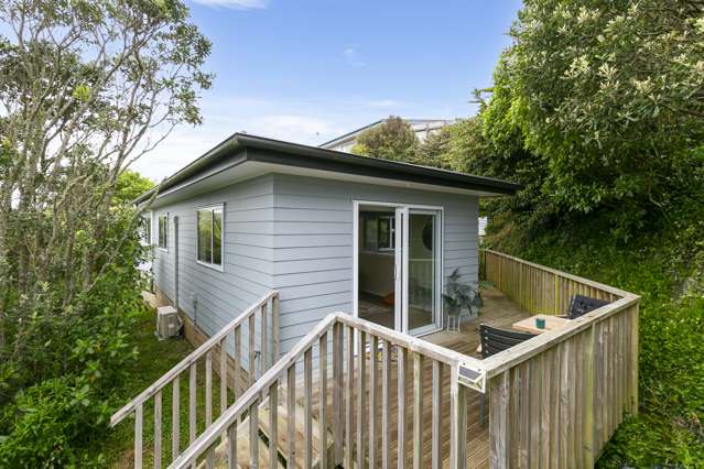 127a Ironside Road Johnsonville_1