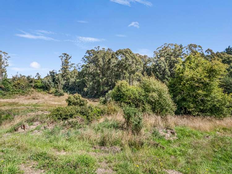 2705 Waikouaiti-Waitati Road Waikouaiti_9