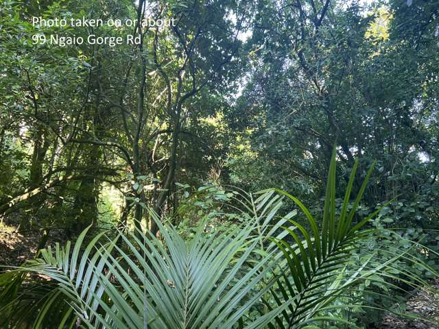 99 Ngaio Gorge Road Ngaio_4