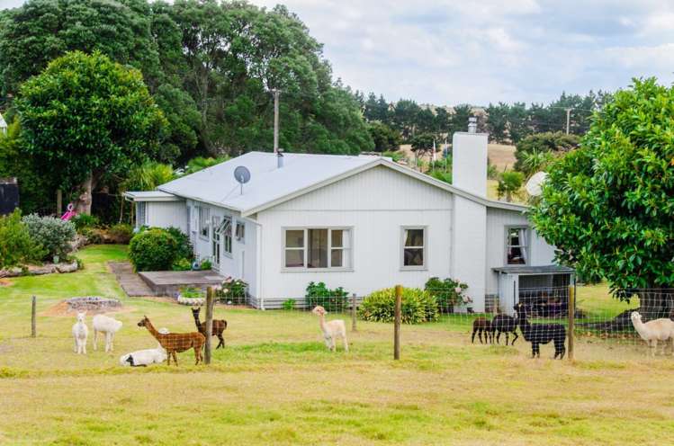 107 Monk Road South Head_2