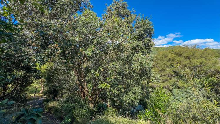10 Eames Crescent Thames_19