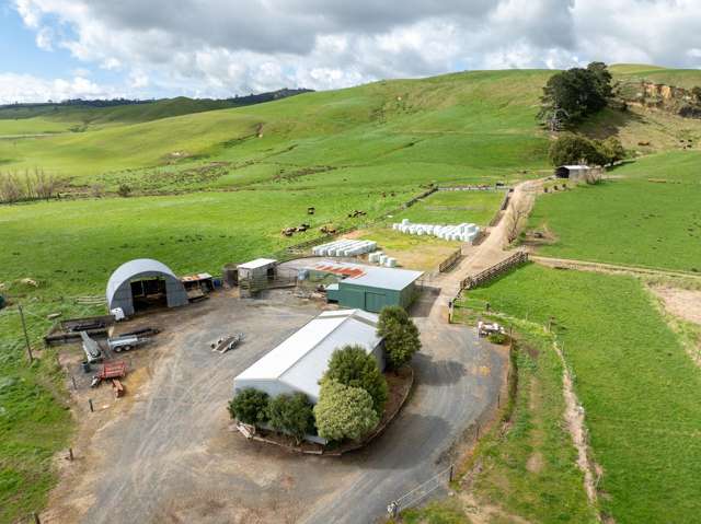 652 Tainui Road Morrinsville_3