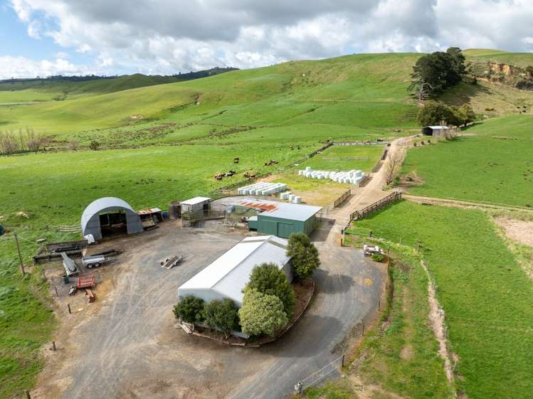 652 Tainui Road Morrinsville_3