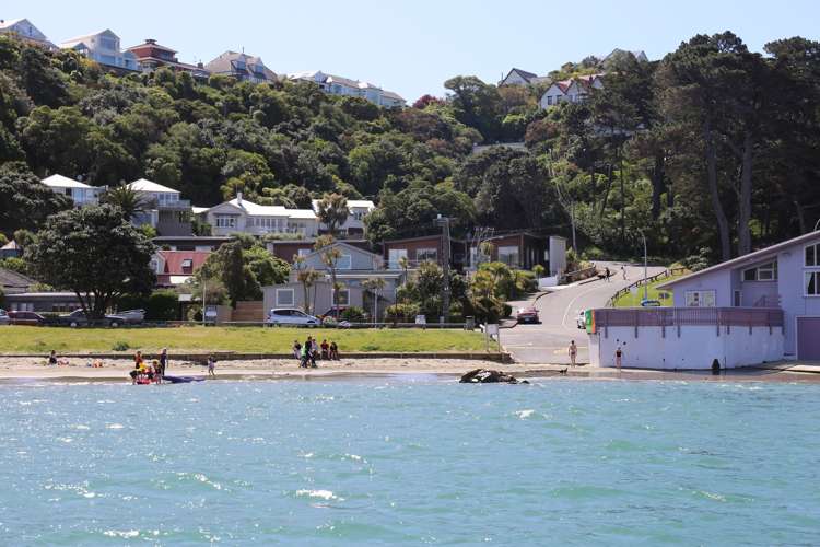 10/231 Marine Parade Seatoun_0