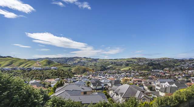 36a Waverton Terrace Churton Park_1