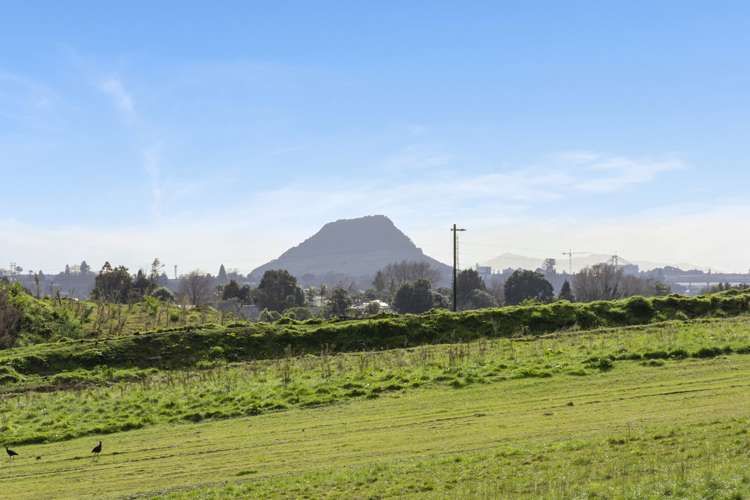 52 Cotswold Place Ohauiti_7