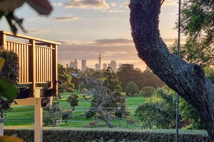 6 Morrison Avenue Devonport_29