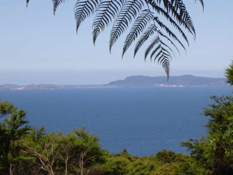 525A Tuateawa Road_0