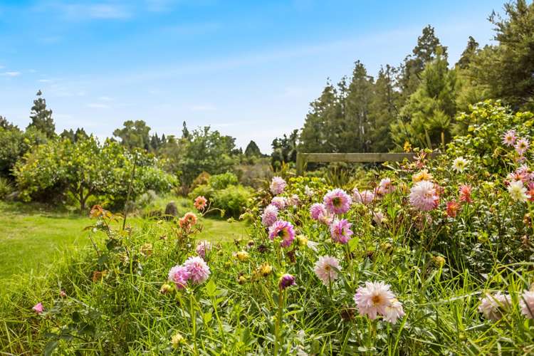 55 Waitaheke Road Ohaeawai_29