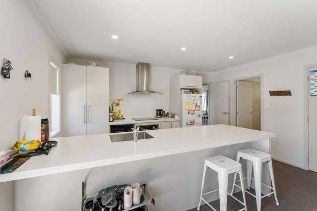 12a Guy Avenue Levin_4